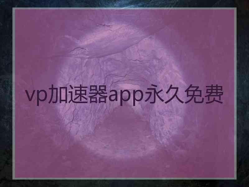 vp加速器app永久免费