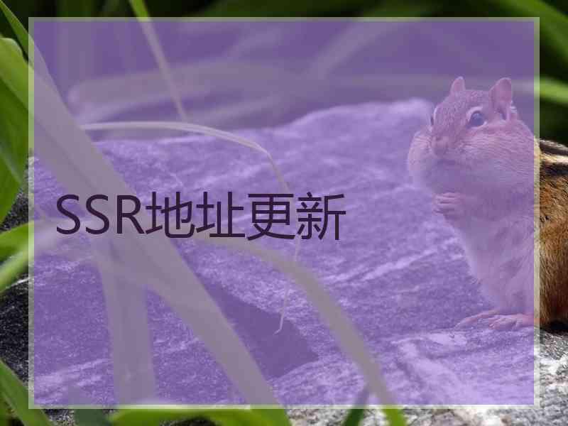 SSR地址更新