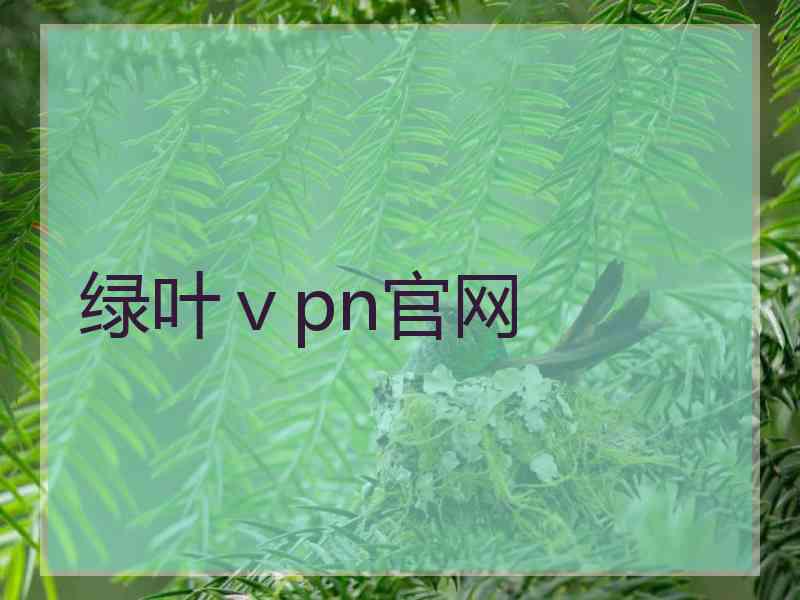 绿叶ⅴpn官网