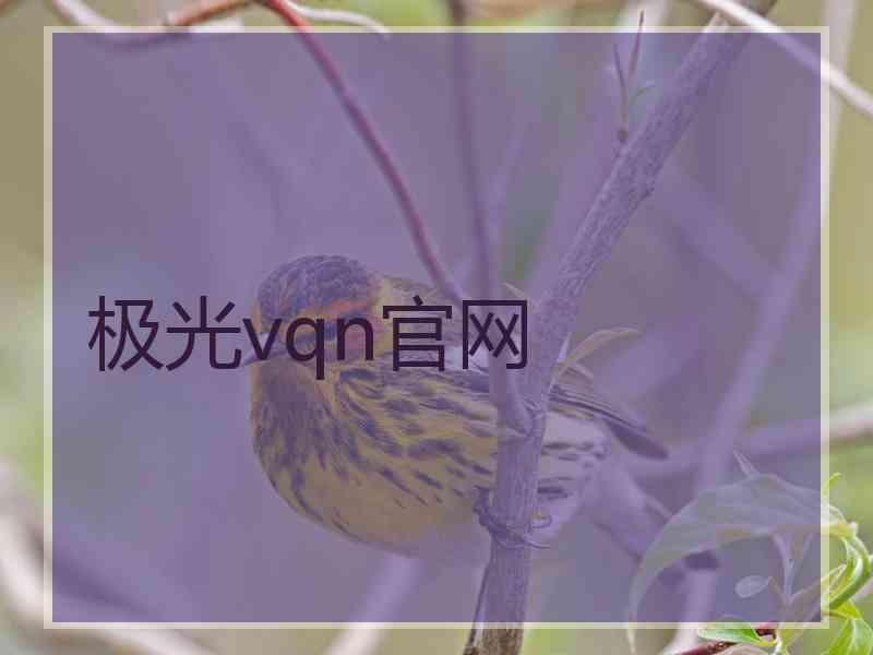 极光vqn官网