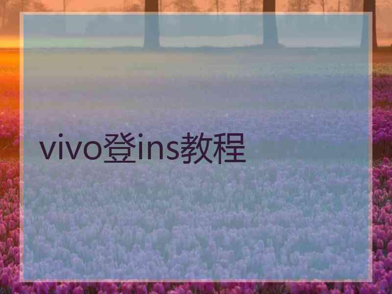 vivo登ins教程