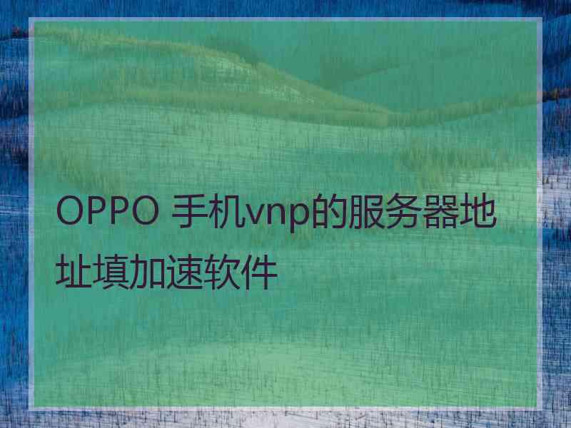 OPPO 手机vnp的服务器地址填加速软件