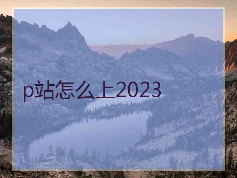 p站怎么上2023