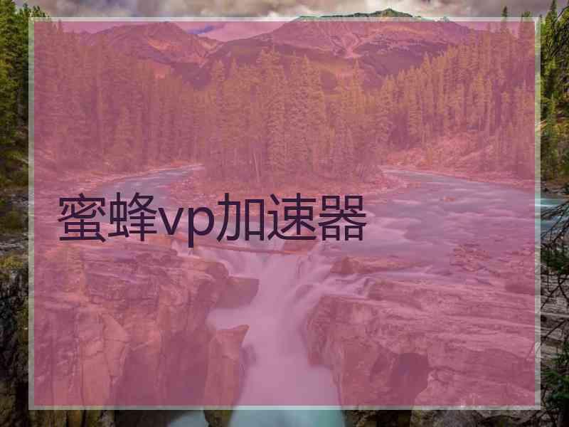 蜜蜂vp加速器