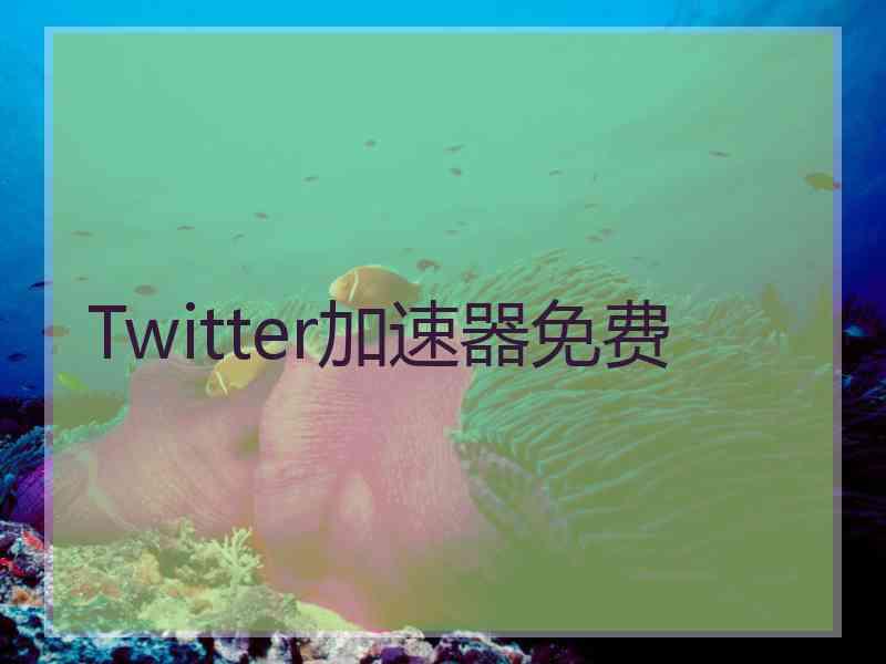 Twitter加速器免费