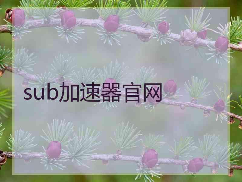 sub加速器官网