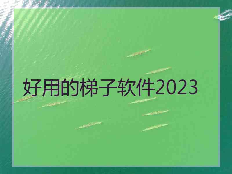 好用的梯子软件2023