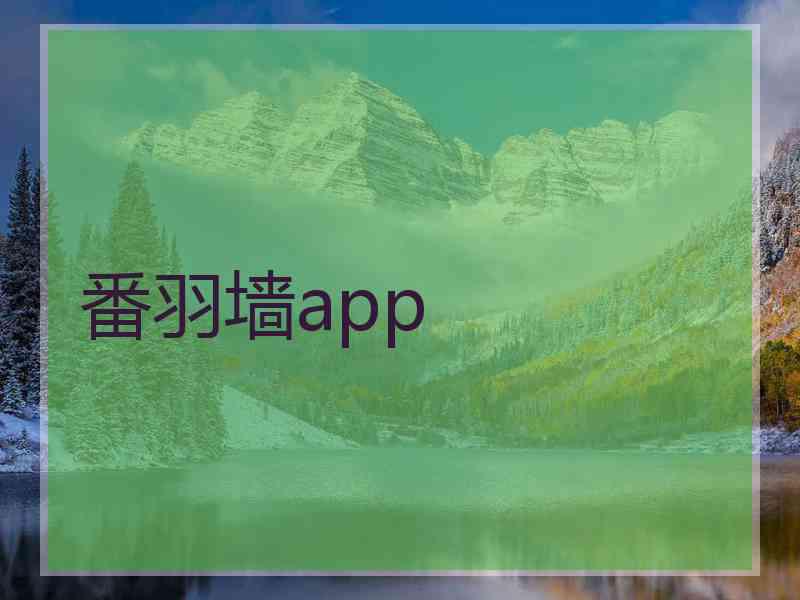 番羽墙app