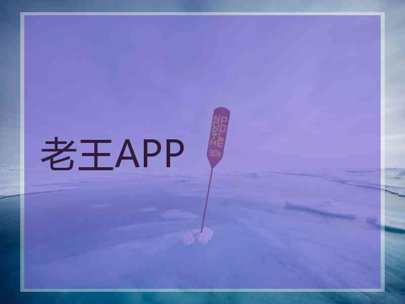 老王APP