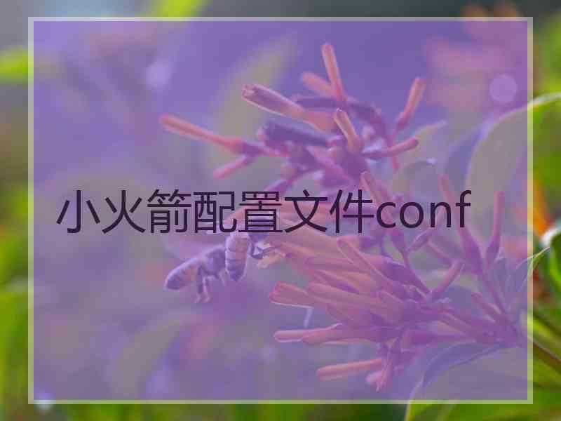 小火箭配置文件conf