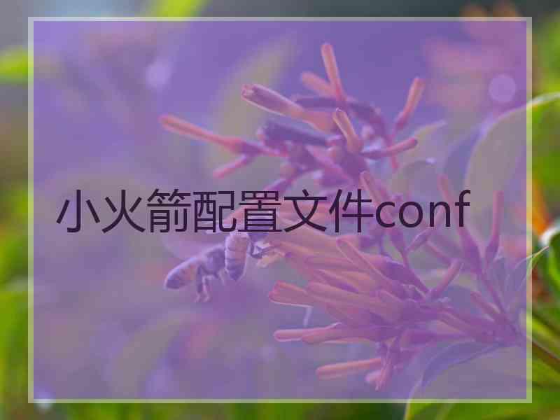 小火箭配置文件conf