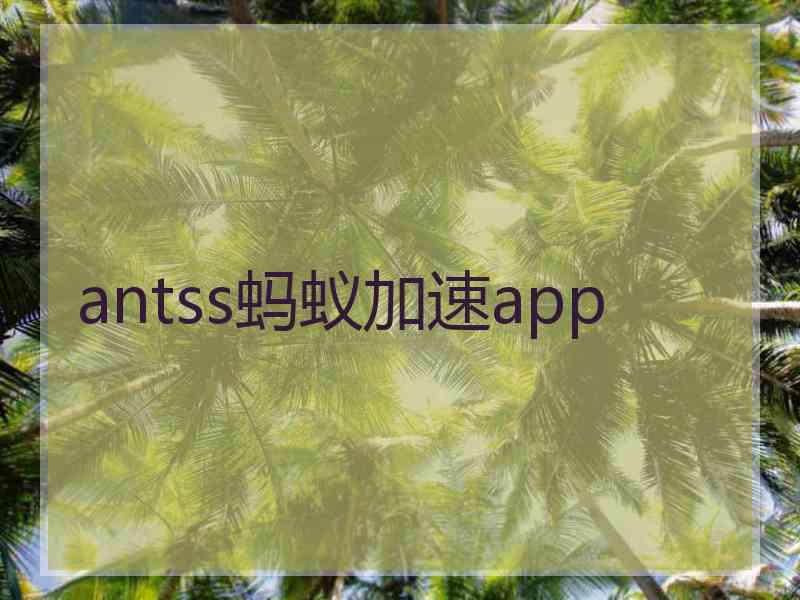 antss蚂蚁加速app