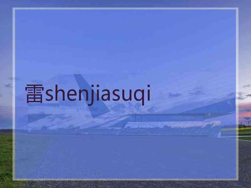 雷shenjiasuqi