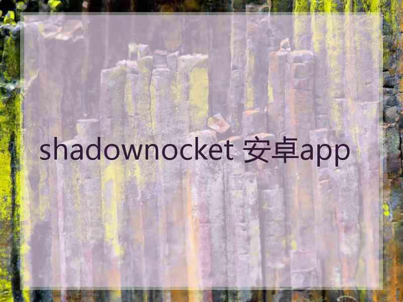 shadownocket 安卓app