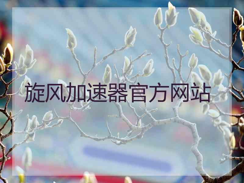 旋风加速器官方网站