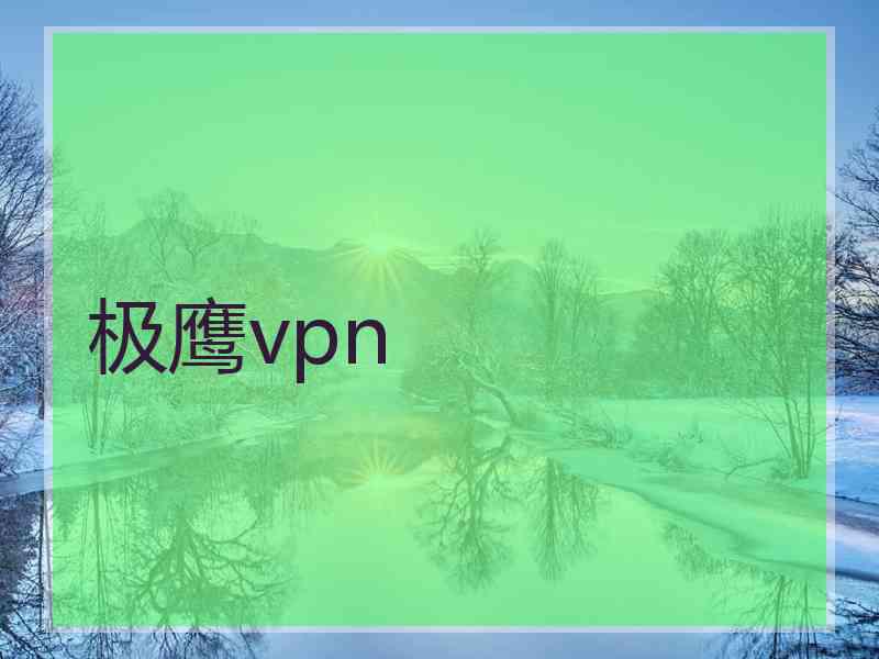 极鹰vpn