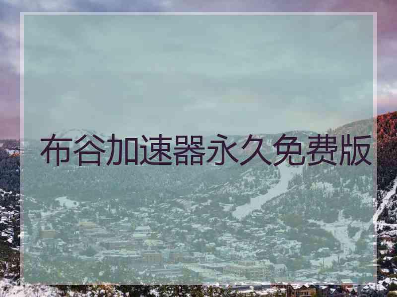 布谷加速器永久免费版