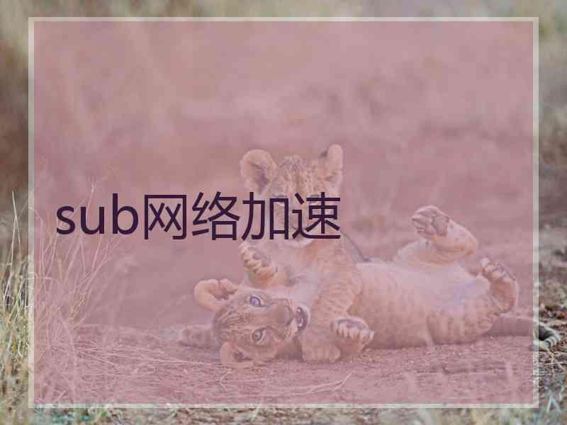 sub网络加速