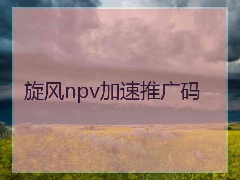 旋风npv加速推广码