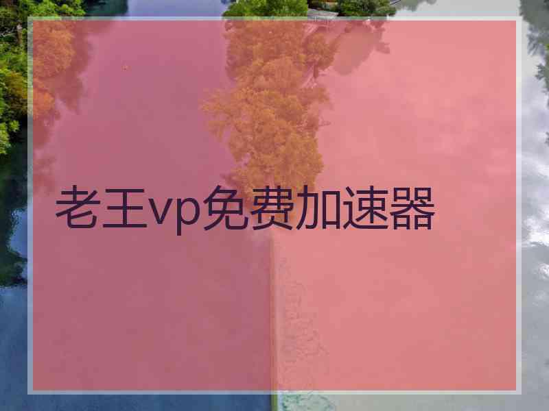 老王vp免费加速器