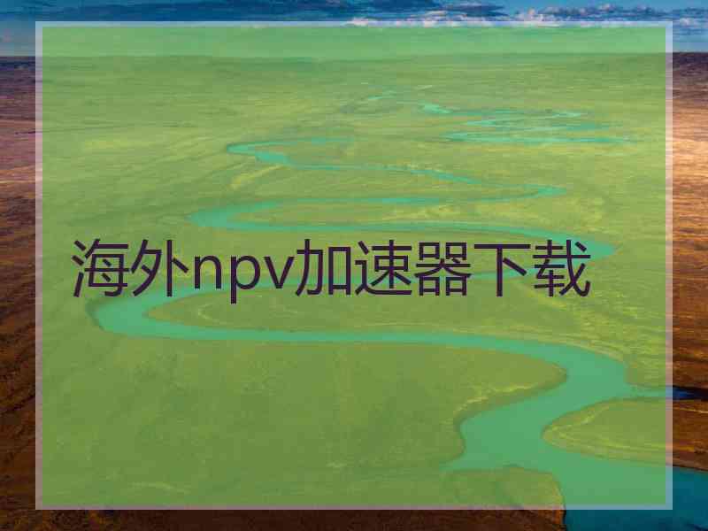 海外npv加速器下载