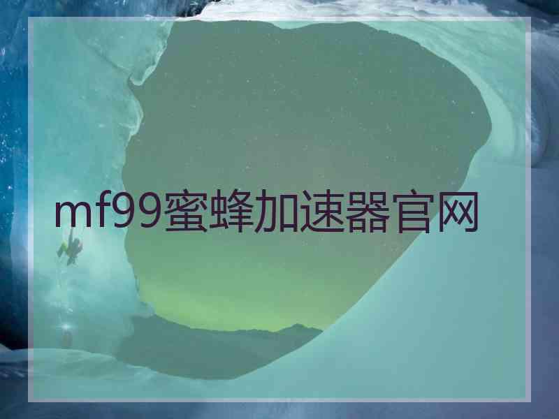 mf99蜜蜂加速器官网