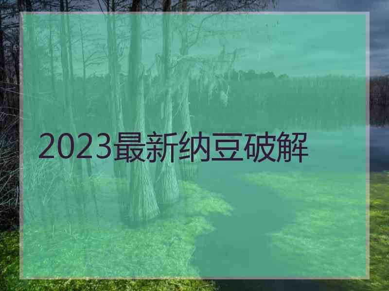 2023最新纳豆破解