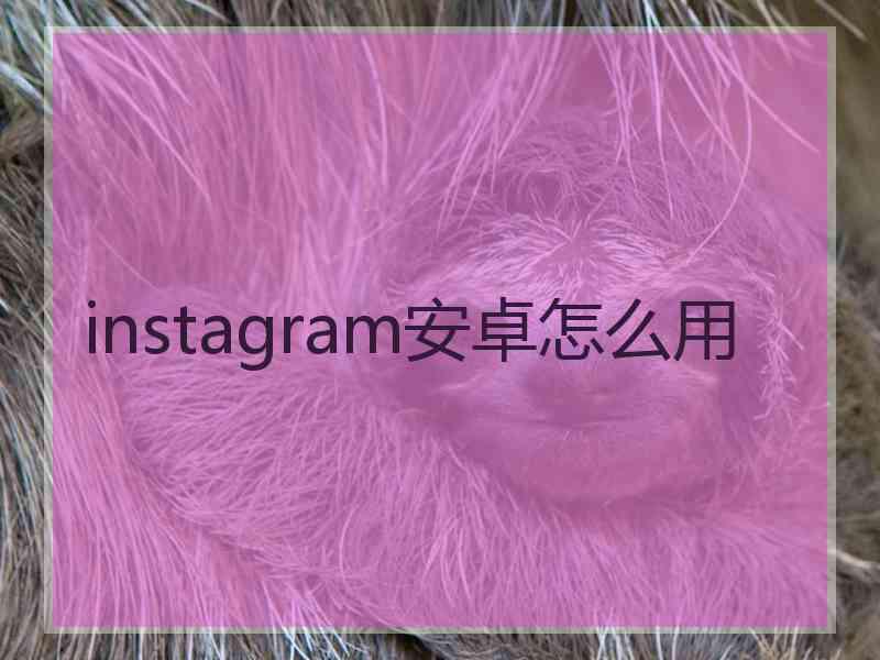 instagram安卓怎么用