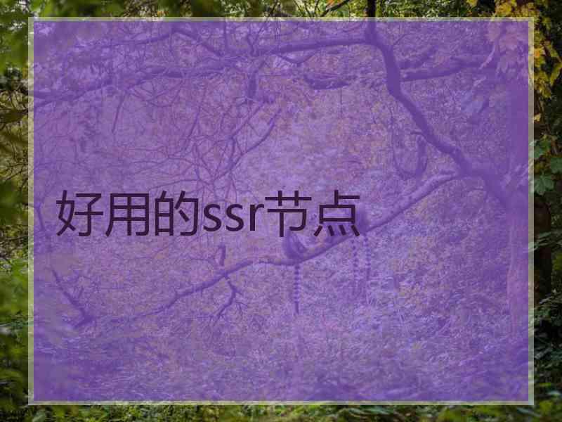 好用的ssr节点