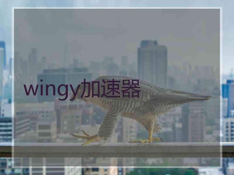 wingy加速器