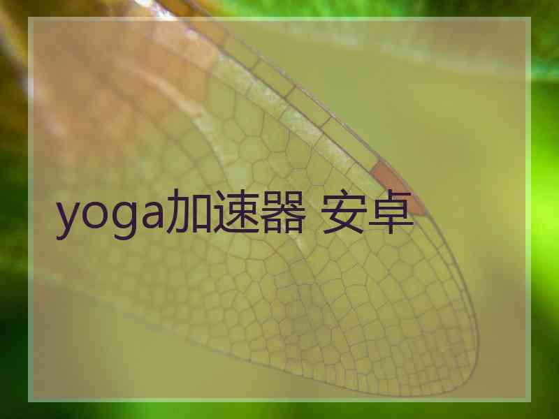 yoga加速器 安卓