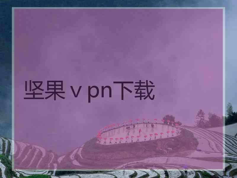 坚果ⅴpn下载