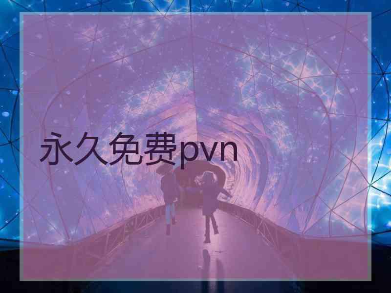 永久免费pvn