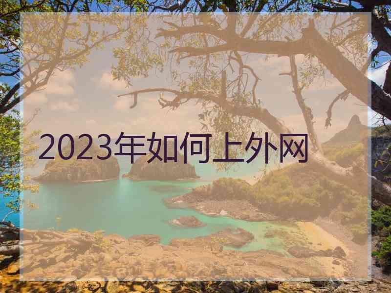 2023年如何上外网