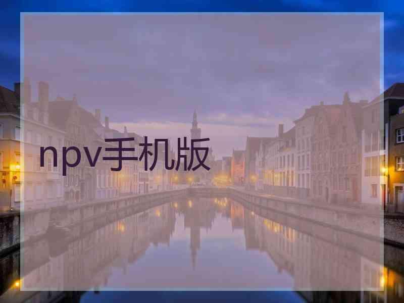 npv手机版