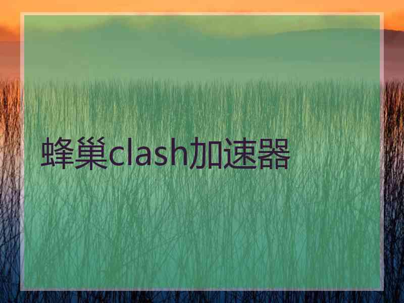 蜂巢clash加速器