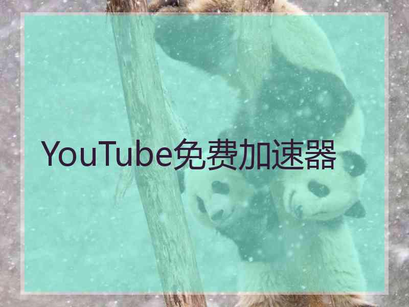 YouTube免费加速器