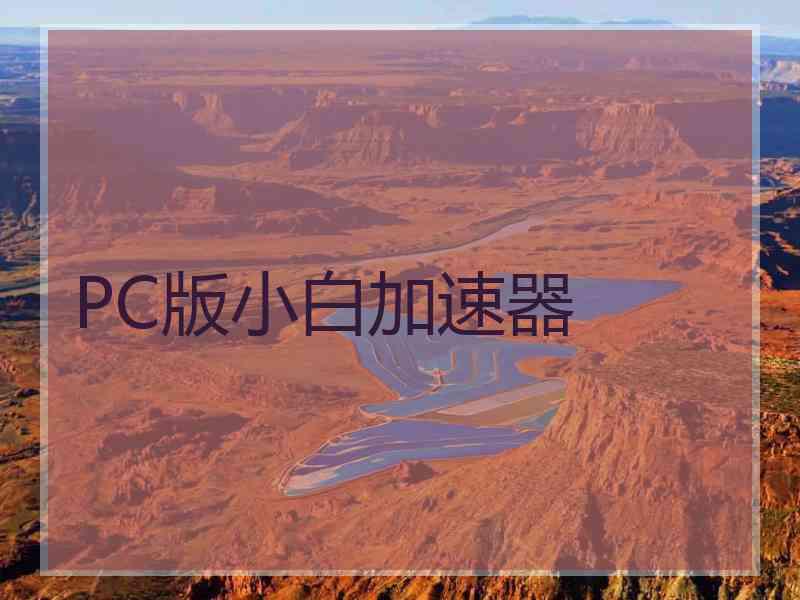 PC版小白加速器