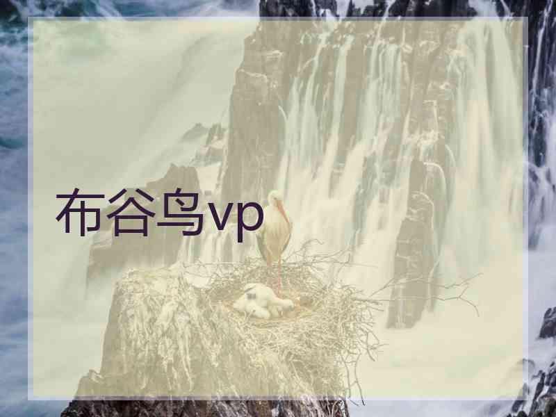 布谷鸟vp