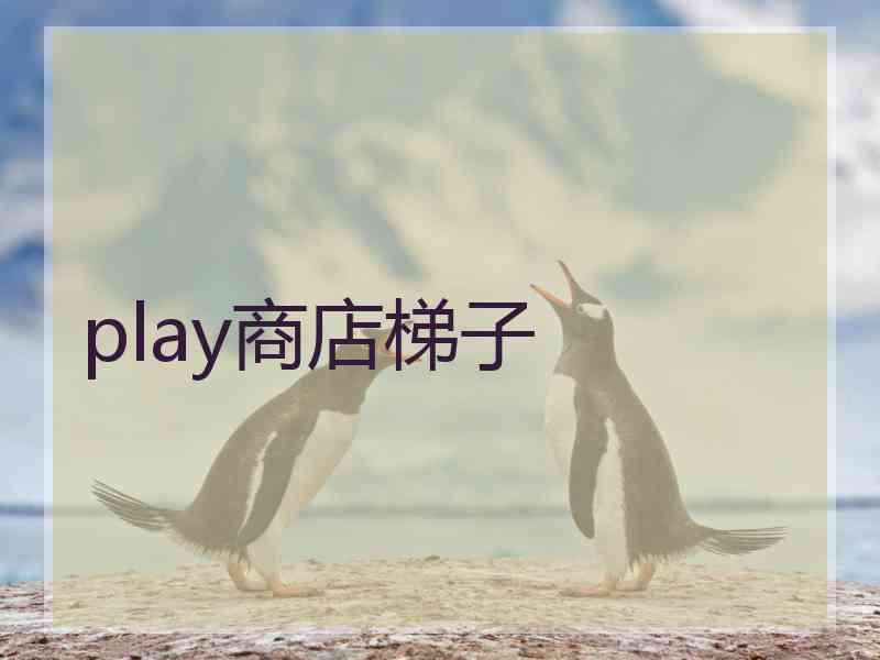 play商店梯子