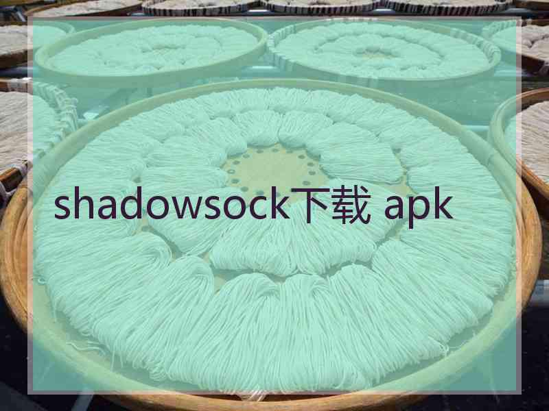shadowsock下载 apk