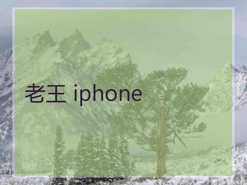 老王 iphone