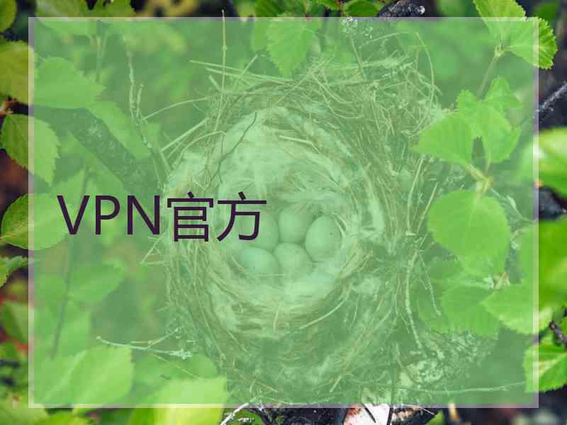 VPN官方