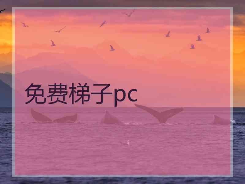 免费梯子pc