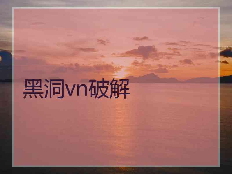 黑洞vn破解