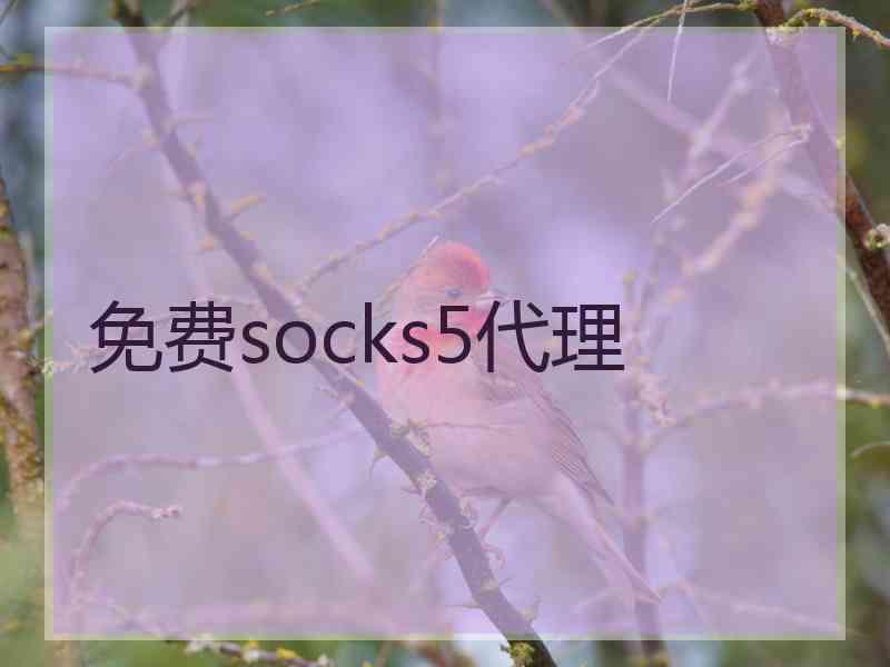 免费socks5代理