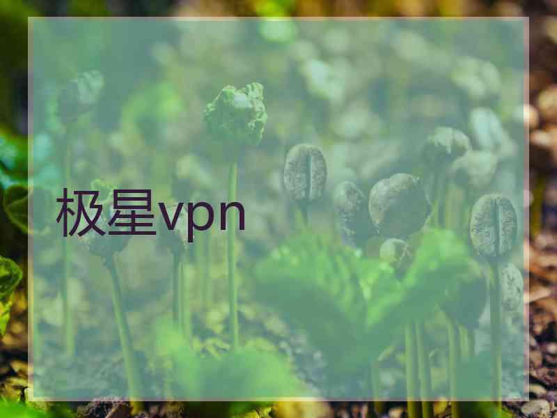 极星vpn