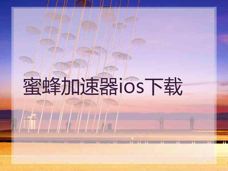 蜜蜂加速器ios下载