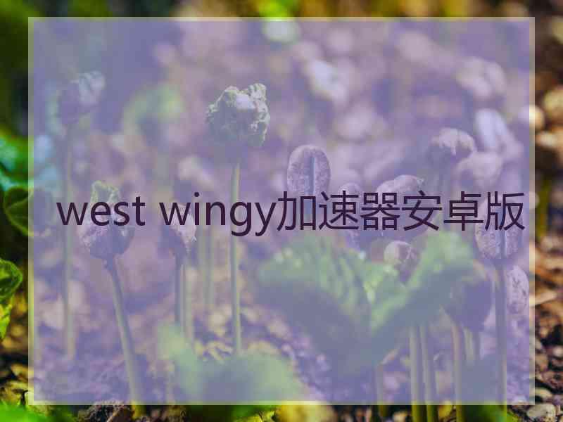 west wingy加速器安卓版