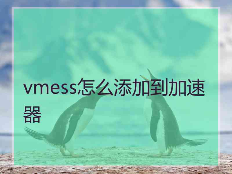 vmess怎么添加到加速器